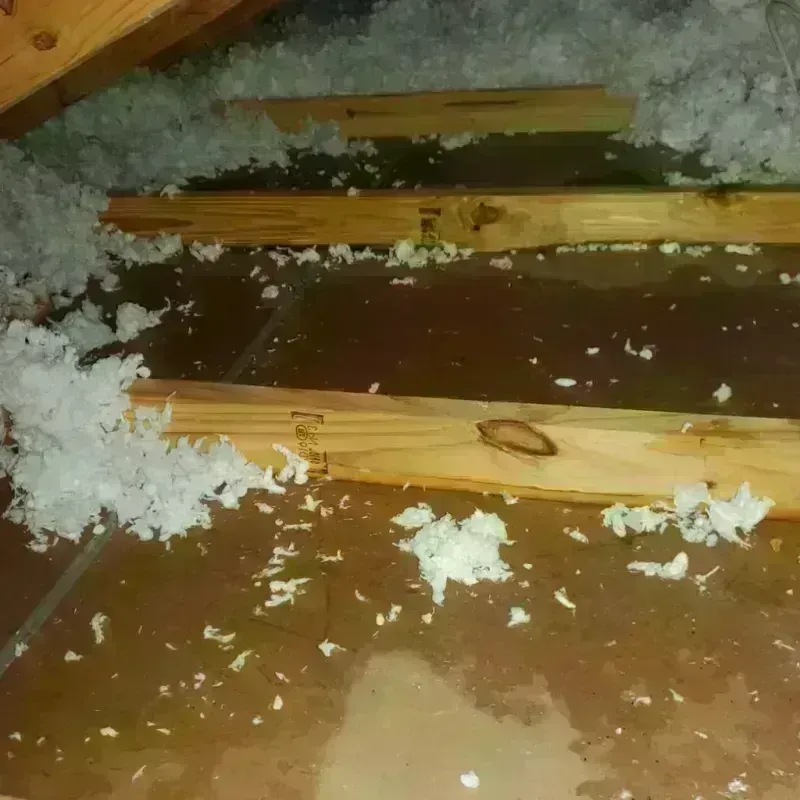 Attic Water Damage in Jordan, MT