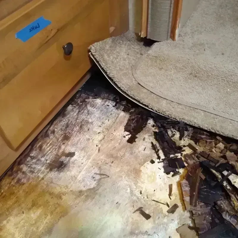 Wood Floor Water Damage in Jordan, MT